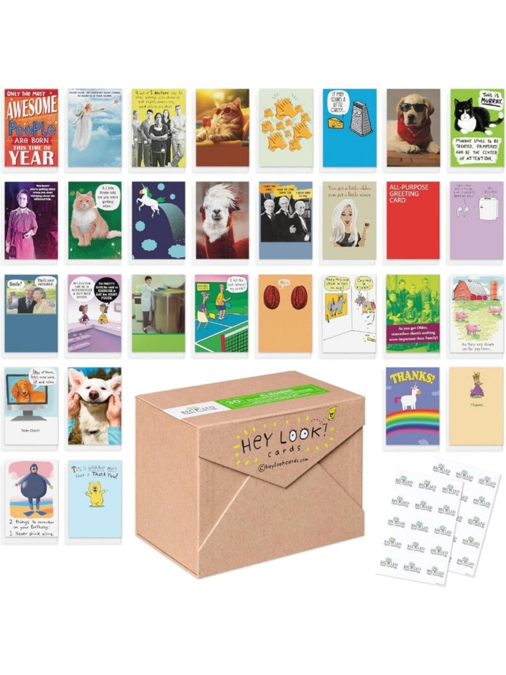 Funny All Occasion Card Assortment - 30 Count with Envelopes, Seals & Storage